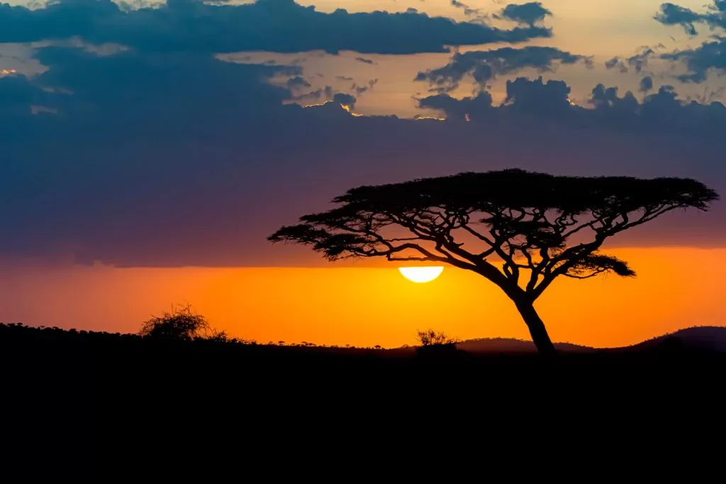 Sun set in Serengeti national park in Tanzania.