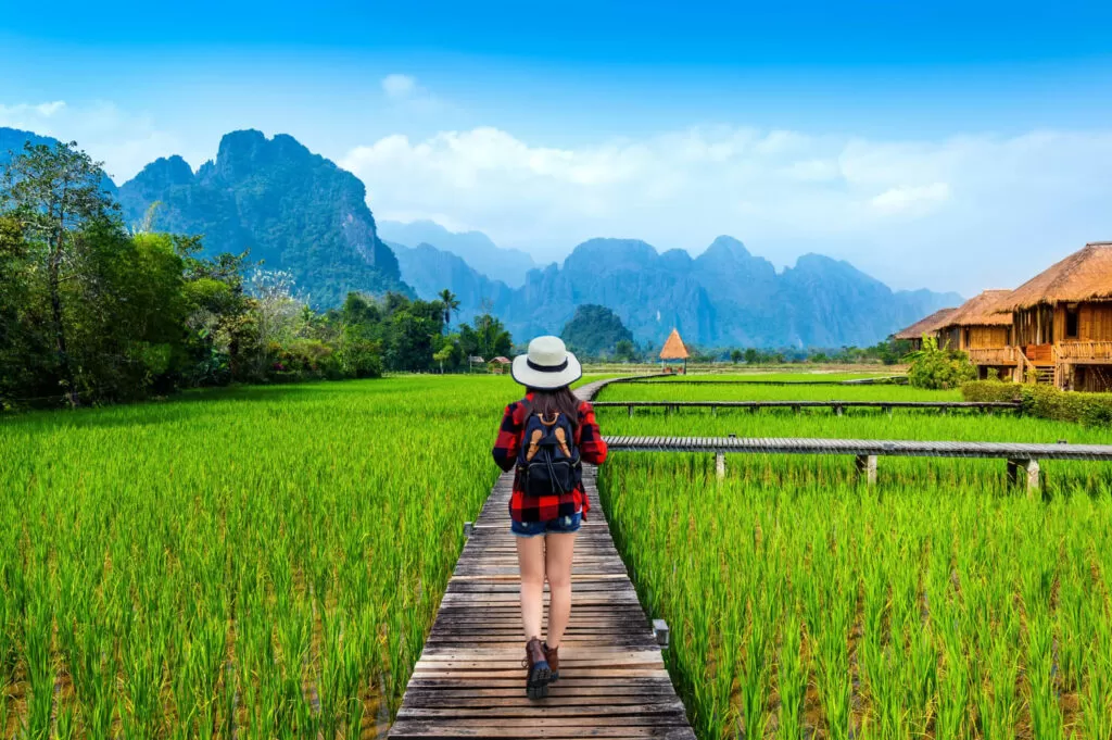 A girl walks in the middle of a rice paddy filed in Loas.